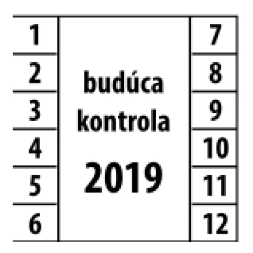 Budoucí kontrola (měsíce 1–12, rok)
