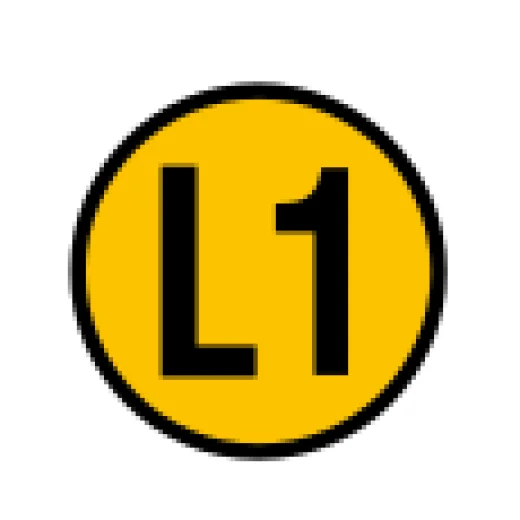 L1