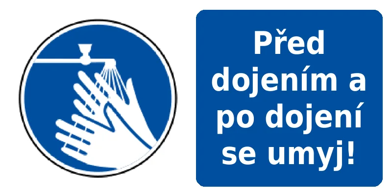 Před dojením a po dojení se umyj!